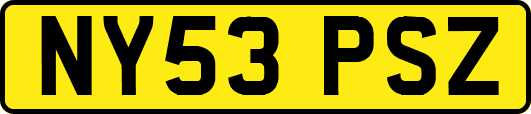NY53PSZ