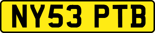 NY53PTB