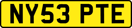 NY53PTE