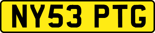 NY53PTG