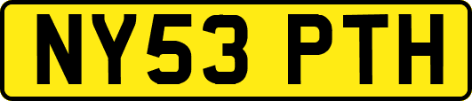 NY53PTH