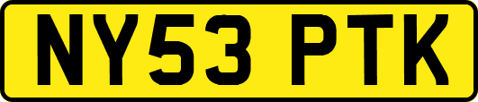 NY53PTK