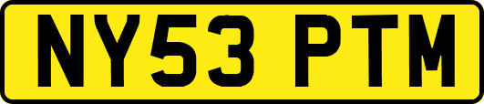 NY53PTM