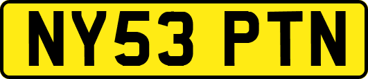 NY53PTN