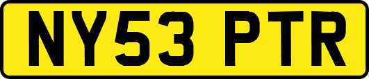NY53PTR