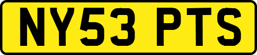 NY53PTS