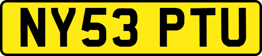 NY53PTU