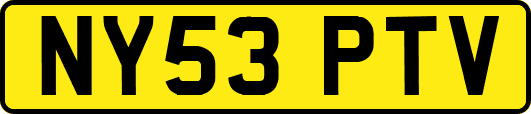 NY53PTV