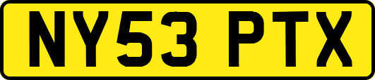 NY53PTX