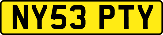 NY53PTY