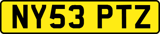 NY53PTZ