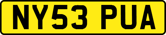 NY53PUA