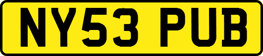 NY53PUB