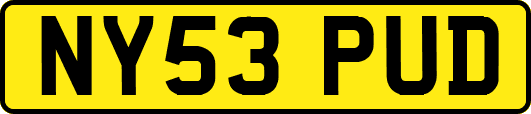 NY53PUD