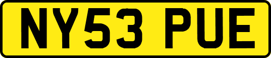 NY53PUE