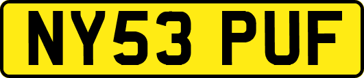 NY53PUF