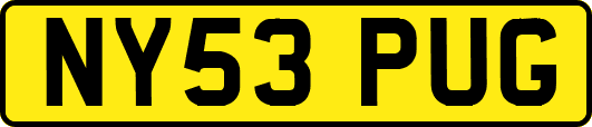 NY53PUG