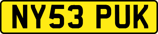 NY53PUK