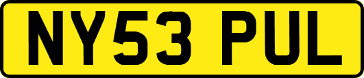 NY53PUL
