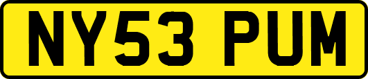 NY53PUM