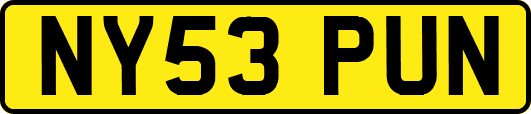 NY53PUN