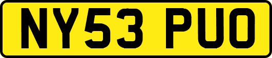 NY53PUO