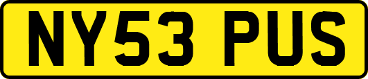 NY53PUS