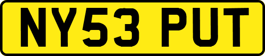 NY53PUT