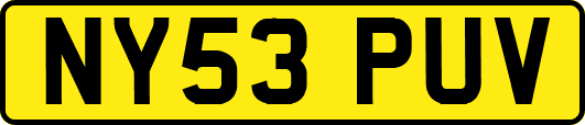 NY53PUV