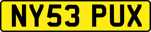NY53PUX