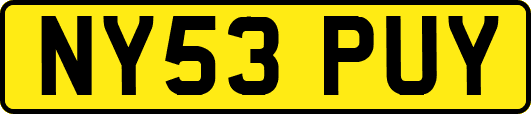 NY53PUY