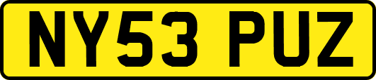 NY53PUZ