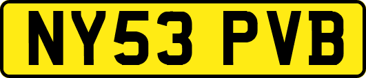 NY53PVB