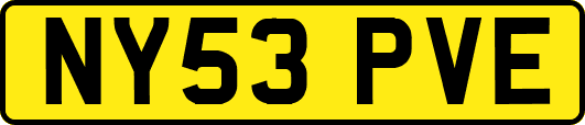 NY53PVE
