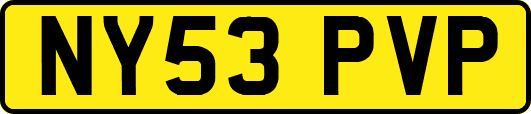 NY53PVP