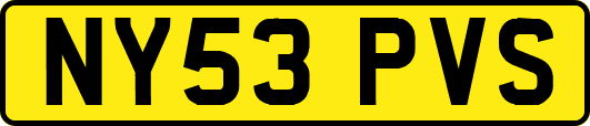 NY53PVS