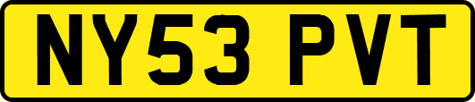 NY53PVT