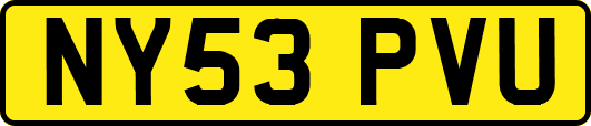 NY53PVU