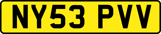 NY53PVV