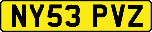 NY53PVZ
