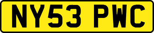 NY53PWC
