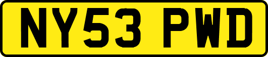 NY53PWD