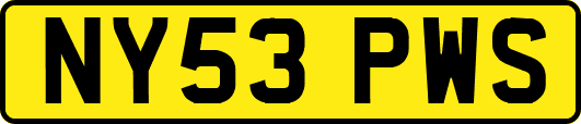 NY53PWS