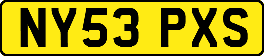 NY53PXS