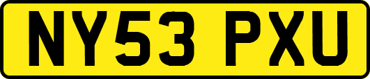 NY53PXU