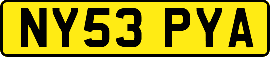 NY53PYA
