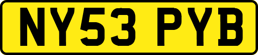 NY53PYB