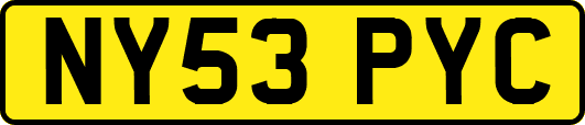 NY53PYC