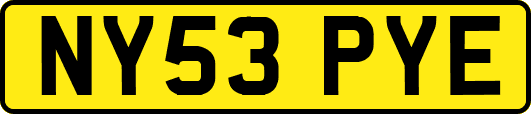 NY53PYE