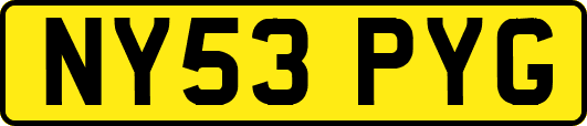 NY53PYG